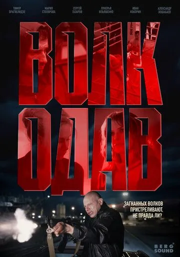 Волкодав смотреть бесплатно 1 сезон, 1-8 серия смотреть онлайн